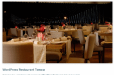 WORDPRESS TEMALARI